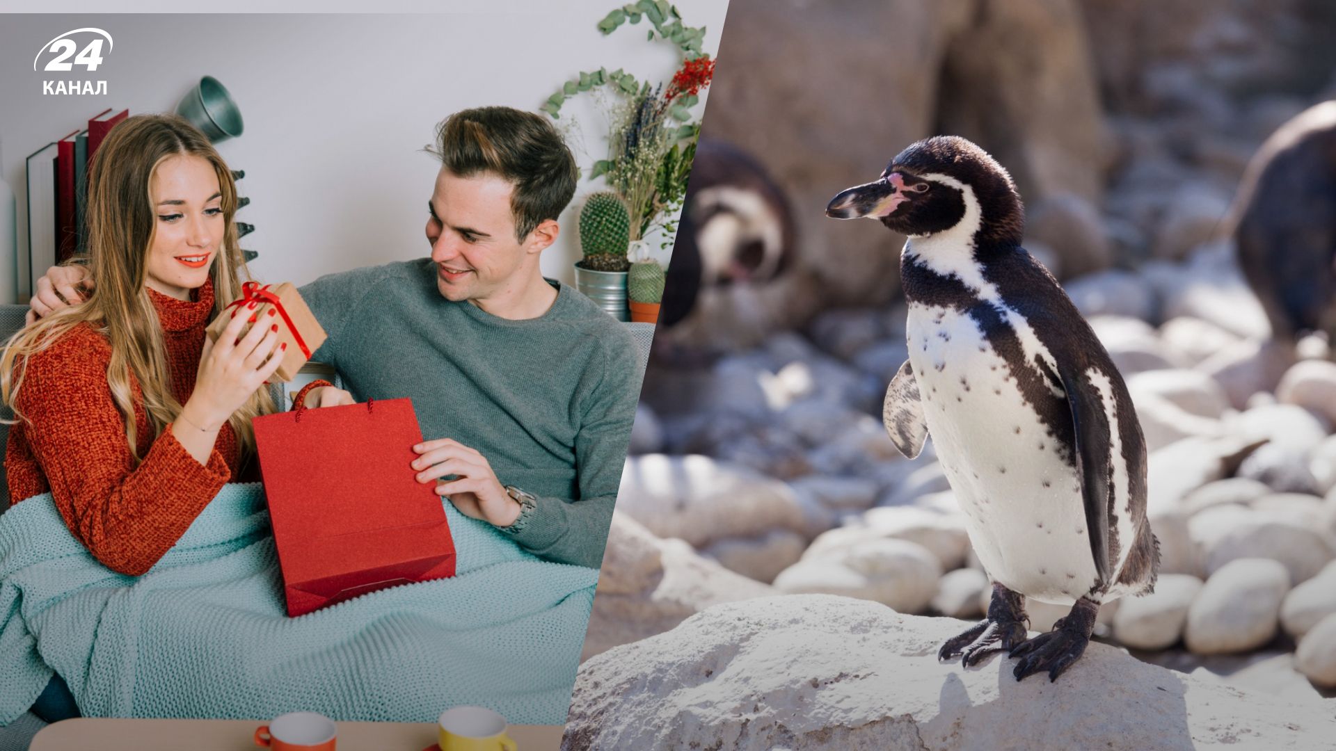 Укрепляйте отношения с пебблингом - узнайте, что это такое и как применять - Gentleman Укрепляйте отношения с пебблингом - узнайте, что это такое и как применять - Gentleman