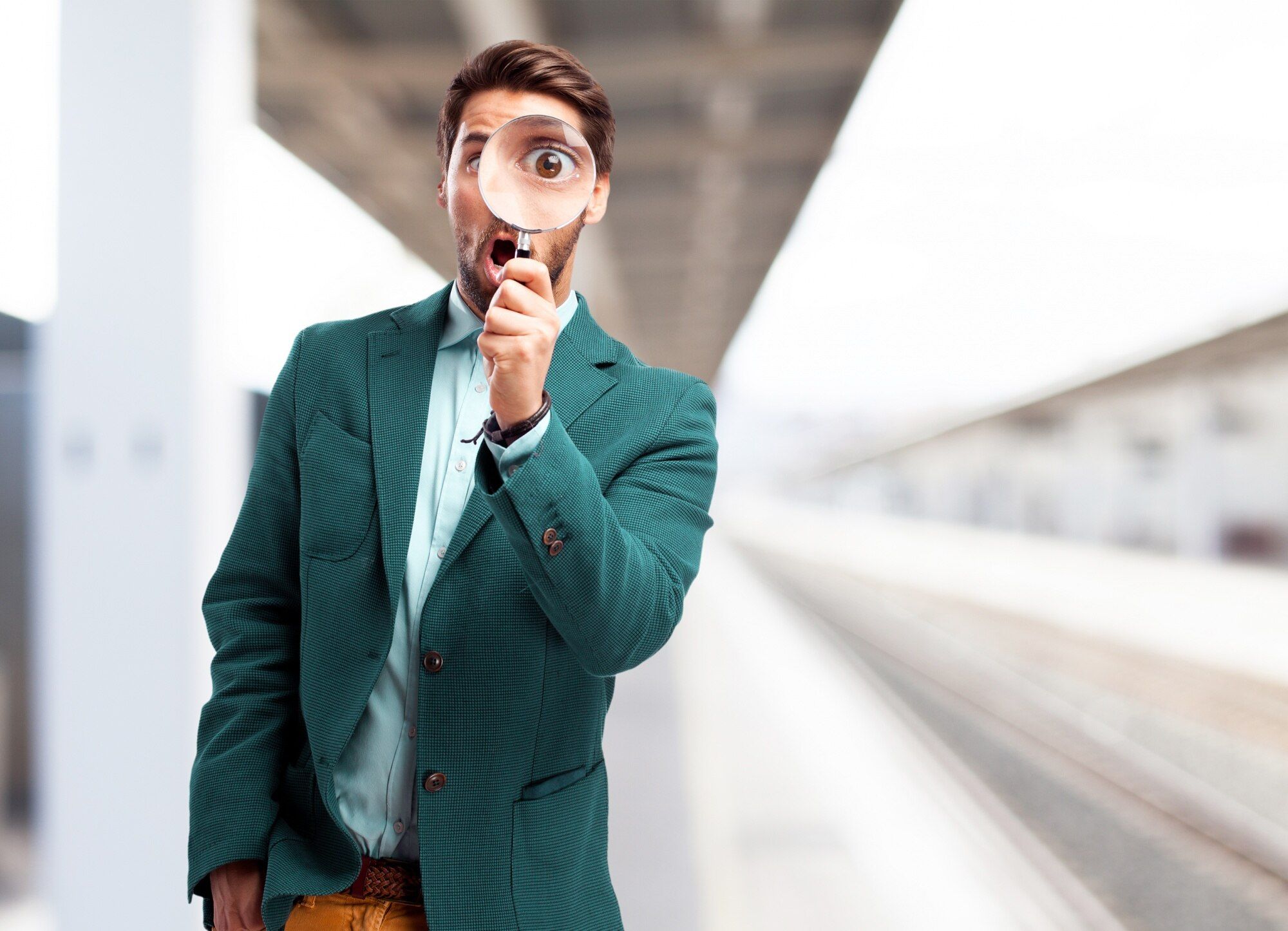 На цій головоломці потрібно знайти павука На цій головоломці потрібно знайти павука